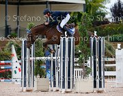 Fenili In the Name GioCav2013 S5 2399 : Campionati Italiani Giovani Cavalli, Cattolica, Fenili Davide, In the Name d'Acheronte, ph Stefano Secchi ©